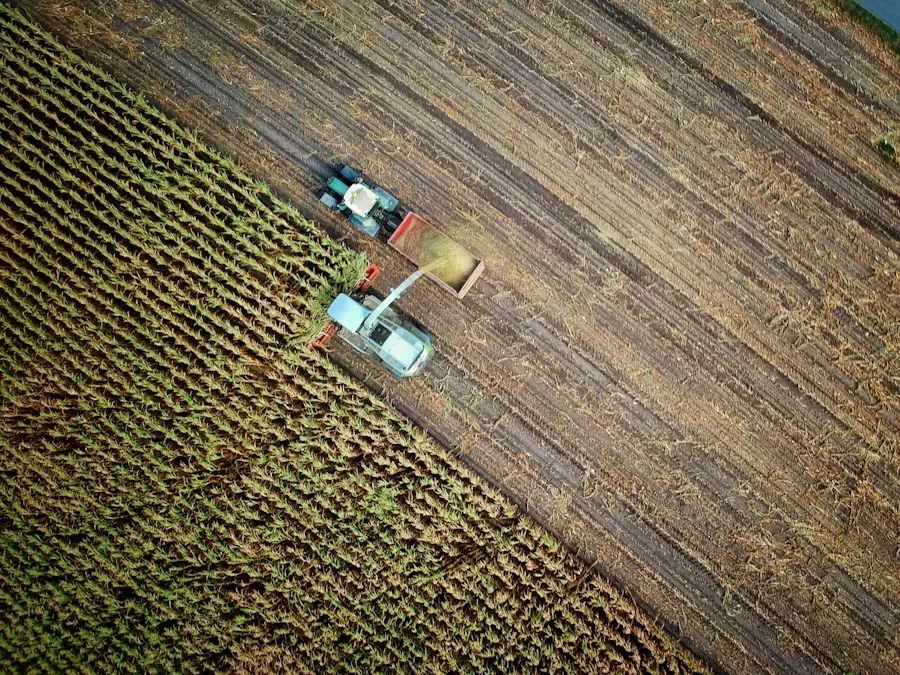Reading the Land: What an Aerial Field View Tells a Farmer