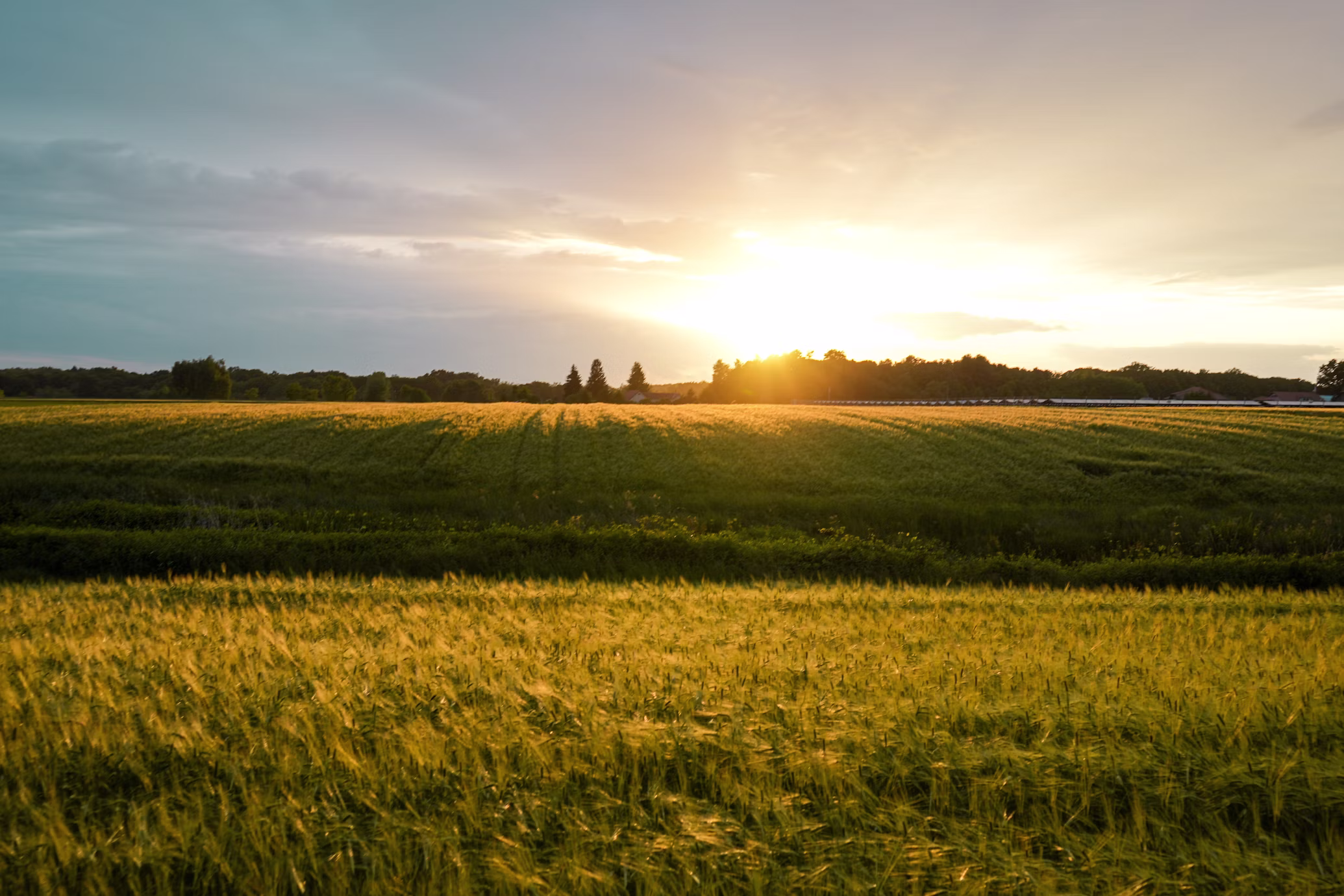 Farm Sunset