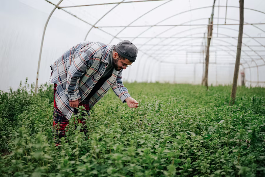 Smart Irrigation: Saving Water, Boosting Yields