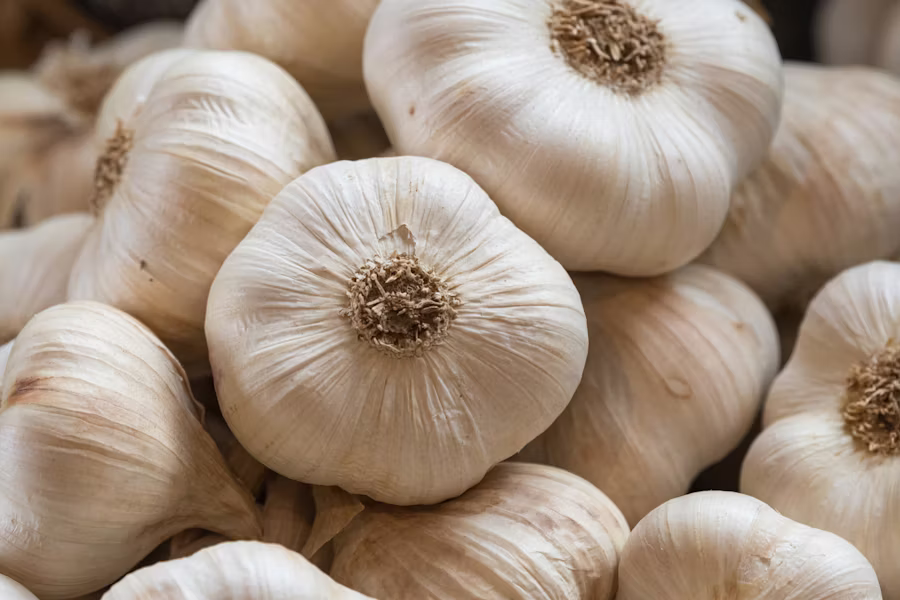Kreevann Garlic view 2