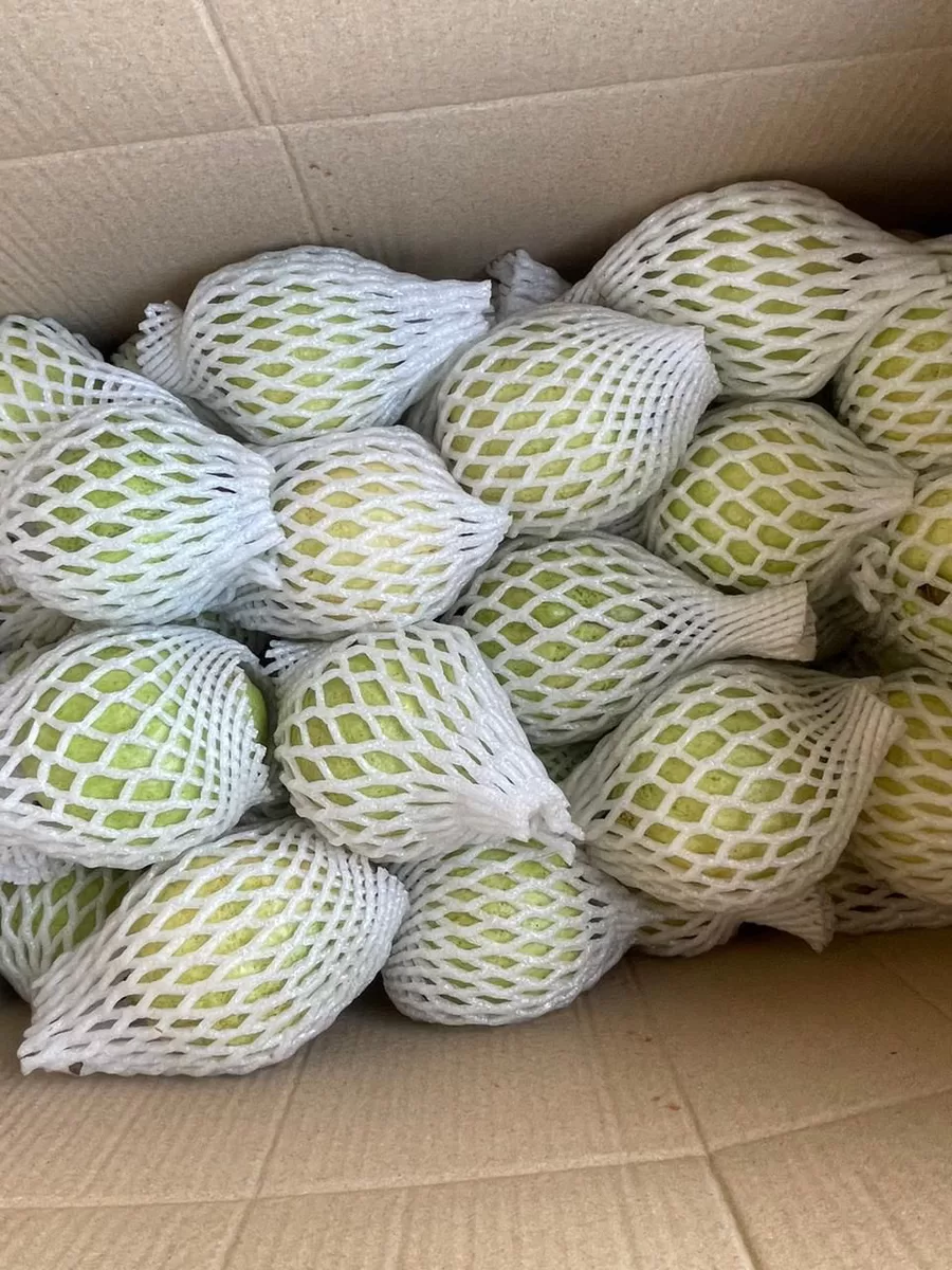 Kreevann Guava view 3