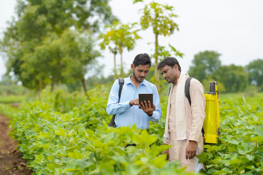 Soil Health: The Secret Behind Record Crop Yields