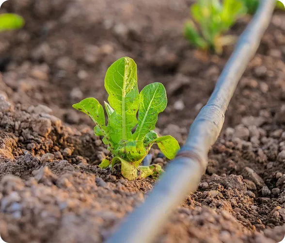 Water & Irrigation Efficiency